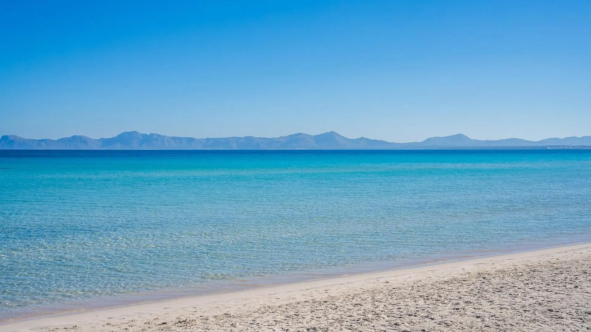 Ideal Property Mallorca - Luca Alcudia  Alcudia (Mallorca)